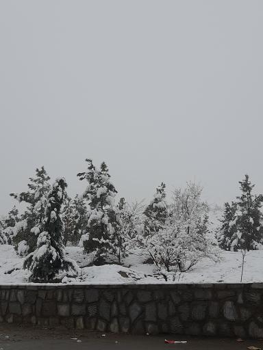 عکس زیست پارک (بوستان طبیعت و خانواده)