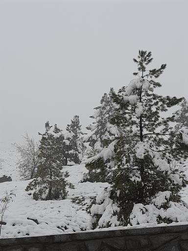 عکس زیست پارک (بوستان طبیعت و خانواده)