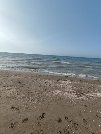 عکس ساحل خشت سر