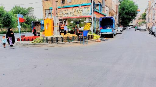 عکس میوه فروشی برادران سید