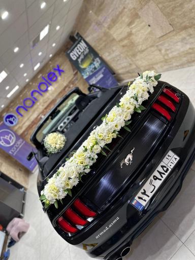 عکس سرامیک و کاور خودرو نانولکس