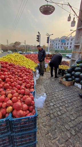 میوه فروشی برادران سید