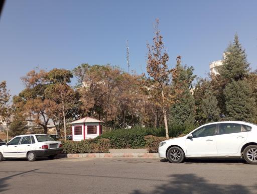 عکس بوستان سرو