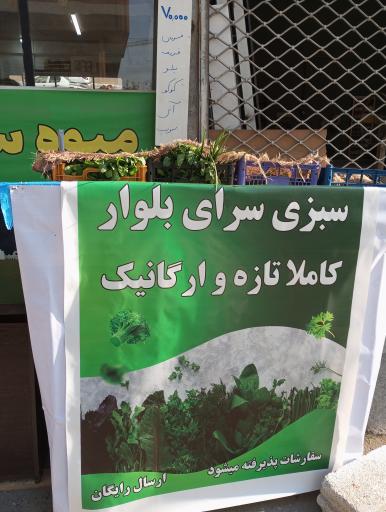 عکس میوه سرای بلوار 