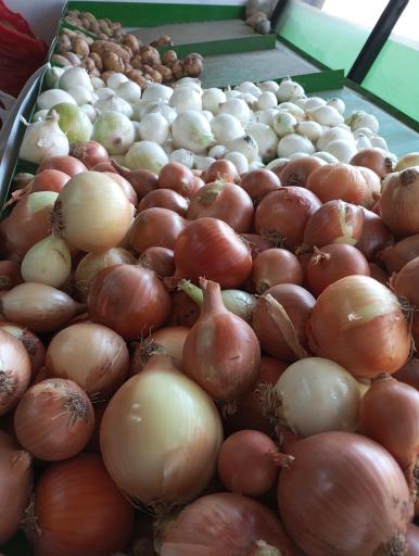 عکس میوه سرای بلوار 