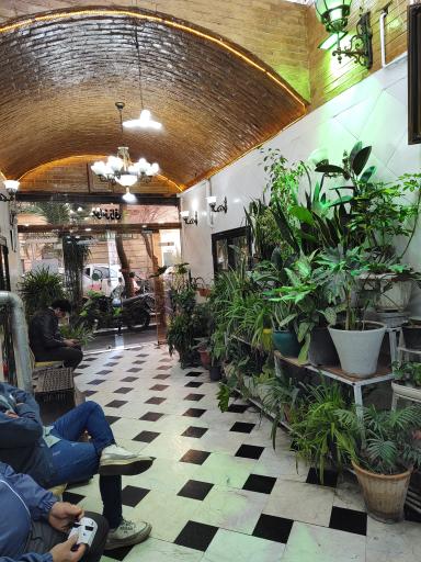 عکس چلوکباب برادران