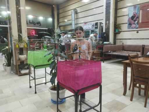 عکس کباب ساطوری بناب آذربایجان