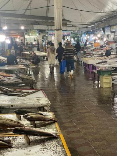 عکس بازار بزرگ ماهی فریدونکنار
