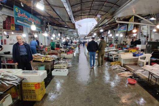 عکس بازار بزرگ ماهی فریدونکنار