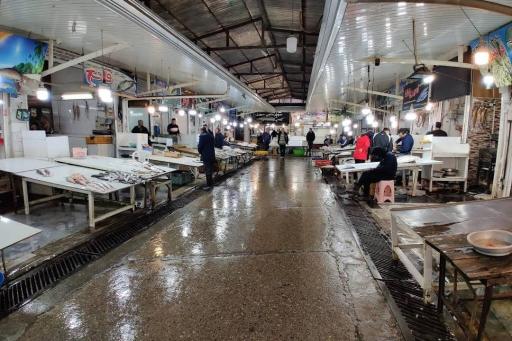 عکس بازار بزرگ ماهی فریدونکنار