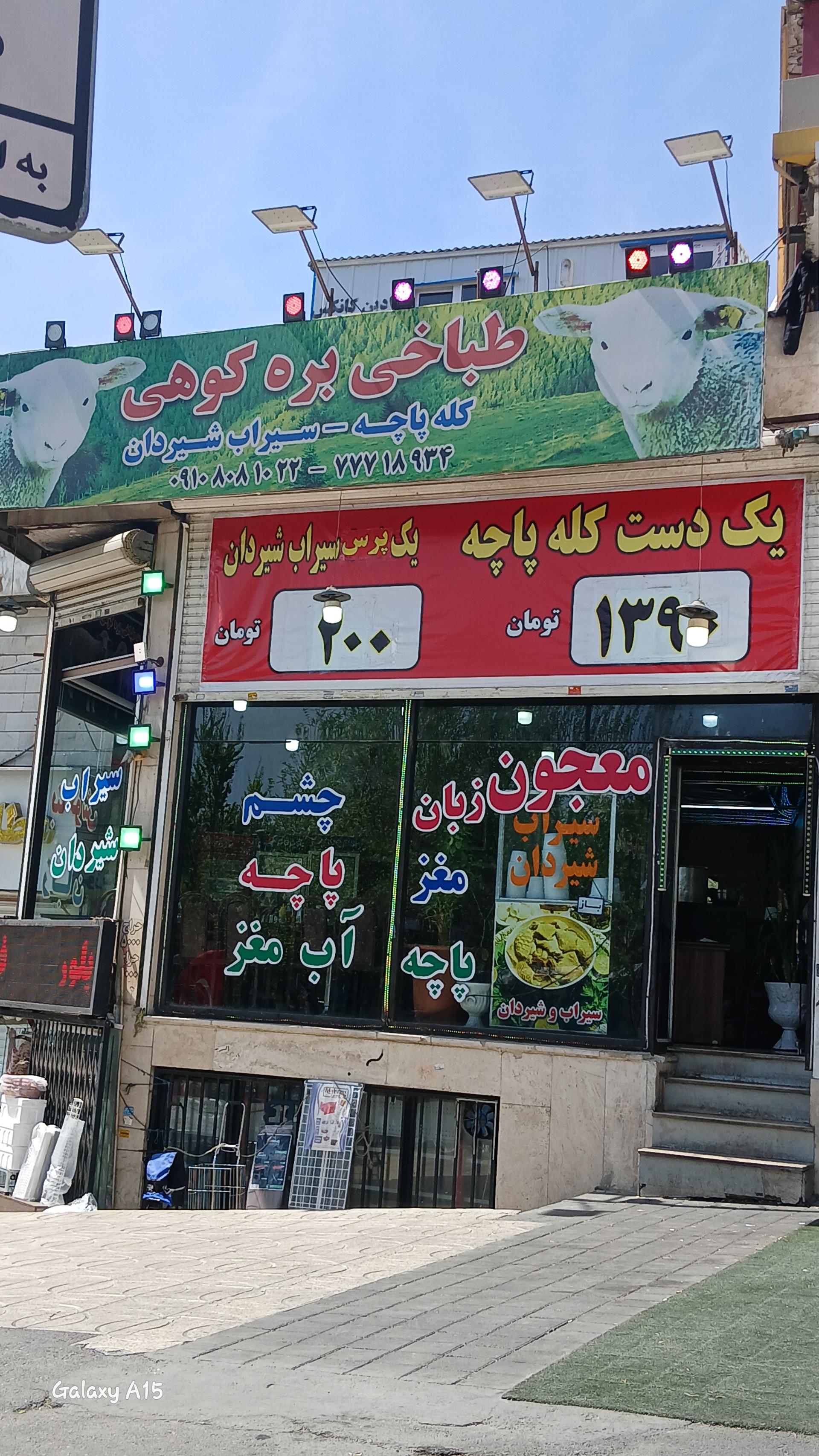 عکس طباخی بره کوهی