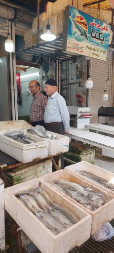 بازار بزرگ ماهی فروشان فریدونکنار