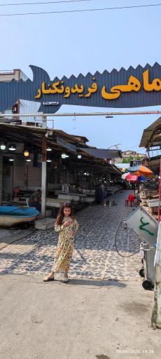 عکس بازار بزرگ ماهی فریدونکنار