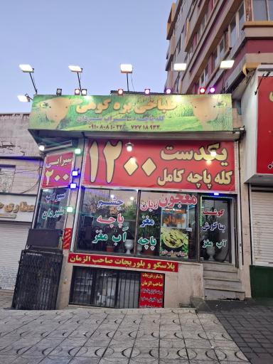 عکس طباخی بره کوهی