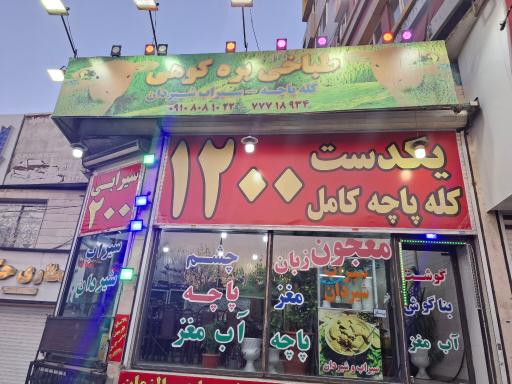 عکس طباخی بره کوهی
