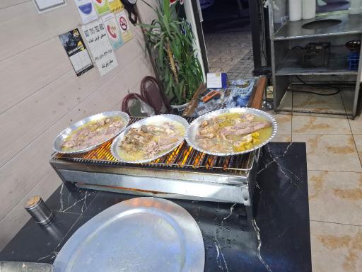 طباخی بره کوهی