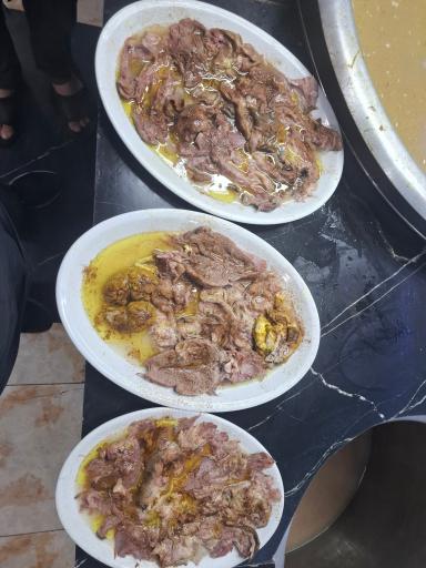 عکس طباخی بره کوهی