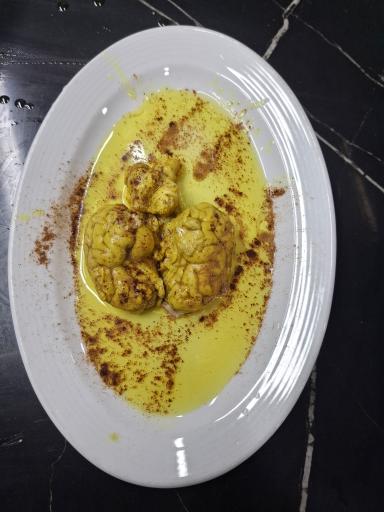 عکس طباخی بره کوهی