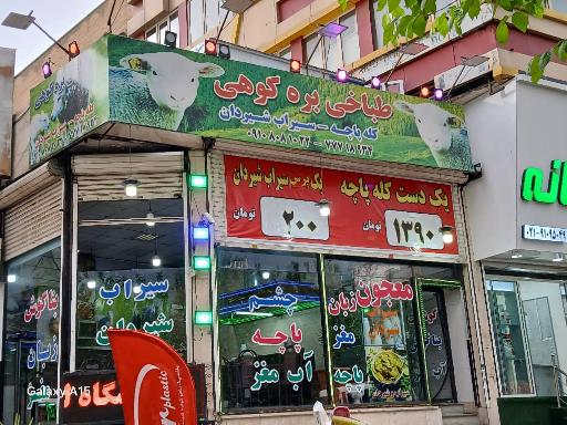 طباخی بره کوهی