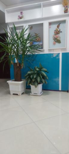 مطب دندانپزشکی دکتر نظری