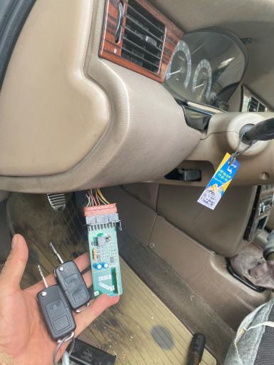 عکس کلیدسازی داودی