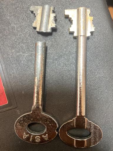 عکس کلیدسازی داودی