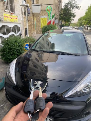 عکس کلیدسازی داودی