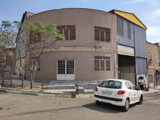 عکس سپیدار چوب