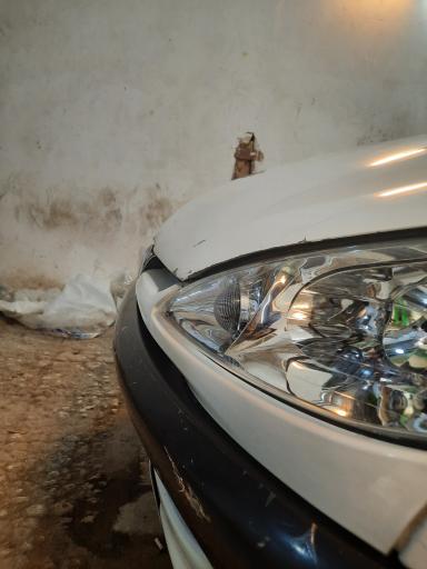 عکس صافکاری تخصصی واحدی