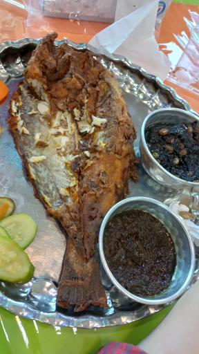 عکس رستوران قائم