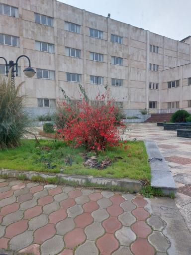 عکس پردیس دانشگاه علوم کشاورزی و منابع طبیعی گرگان 