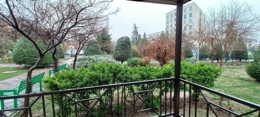 عکس بوستان باغ رز