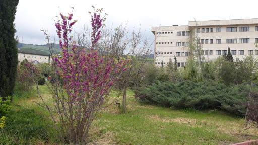 عکس پردیس دانشگاه علوم کشاورزی و منابع طبیعی گرگان 