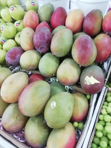 عکس میوه فروشی گلستان