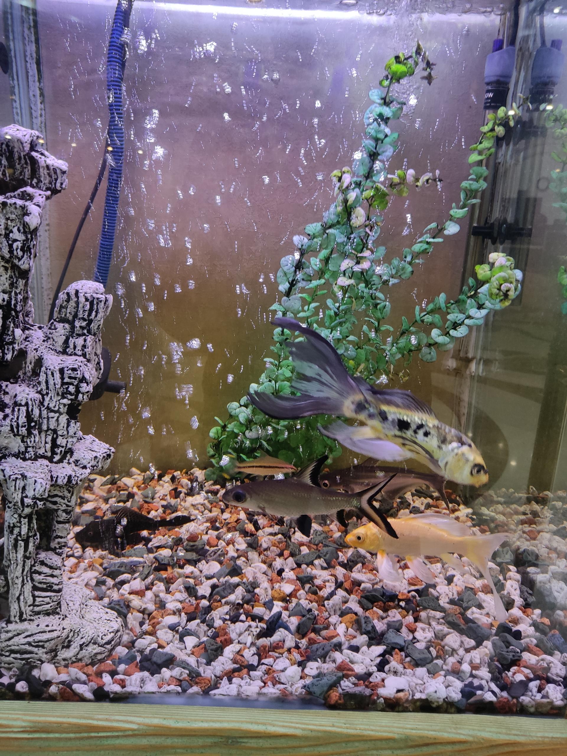 عکس هتل اکسین