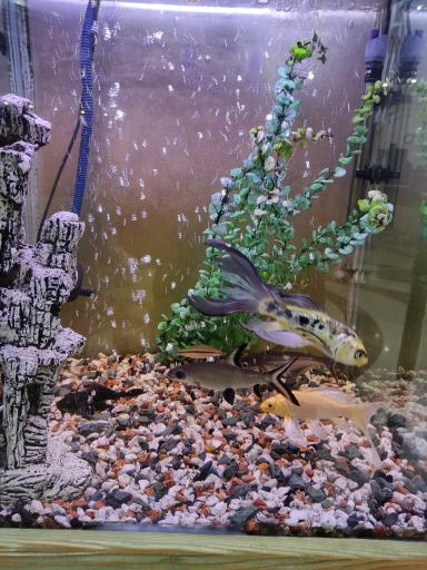 عکس هتل اکسین