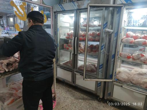 عکس عمده فروشی مرغ آرین