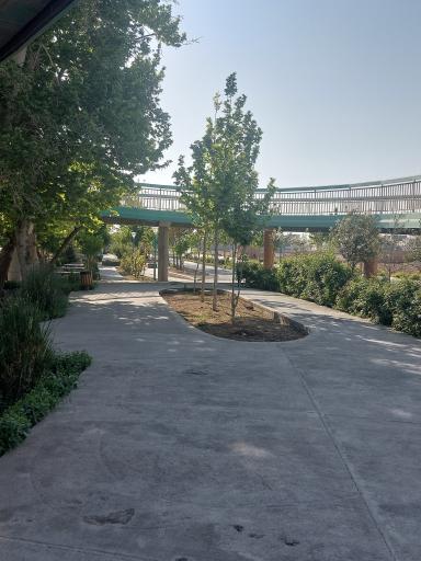 عکس پل بوستان زندگی