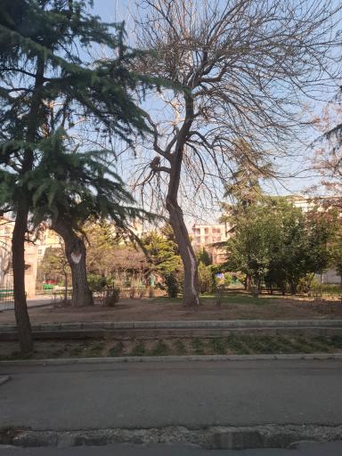 عکس بوستان باغ رز