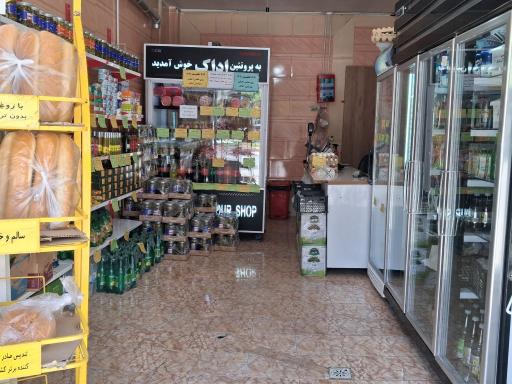 عکس پروتئینی آداک