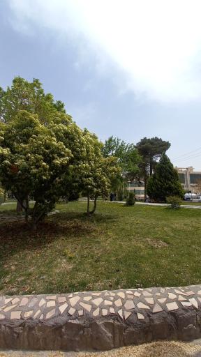 عکس پارک دخانیات