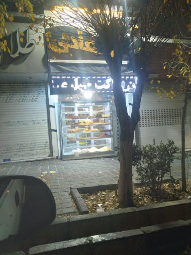 عکس نان فانتزی شفائی