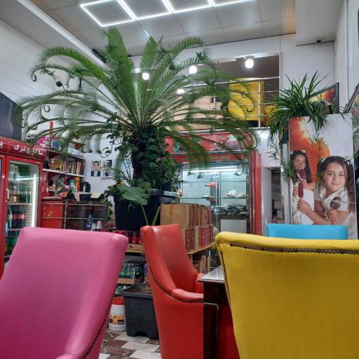 عکس فست فود تبرک  خاطره شعبه۴