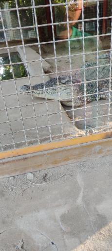 عکس باغ پرندگان فدک 