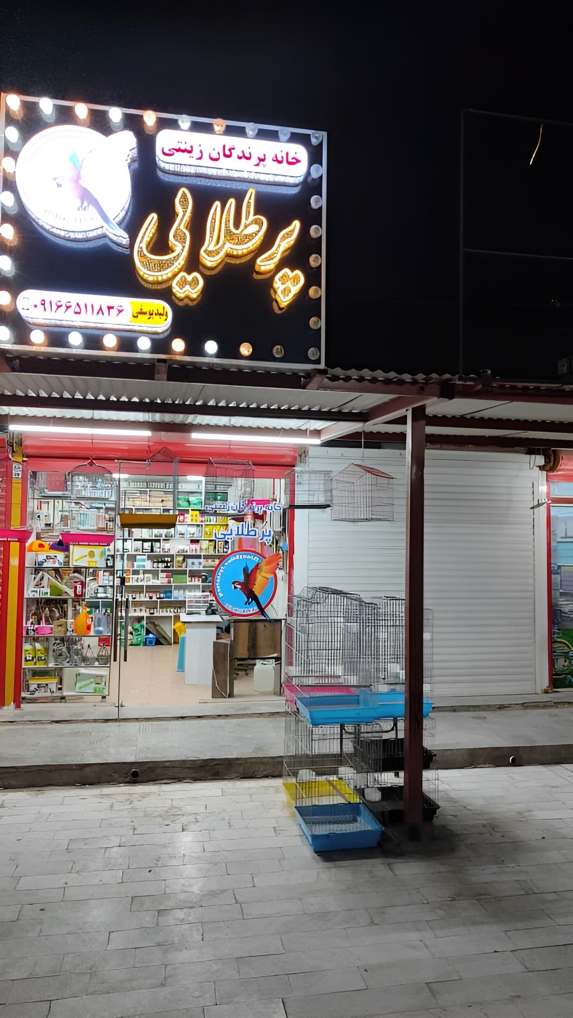 عکس خانه پرندگان زینتی پرطلایی