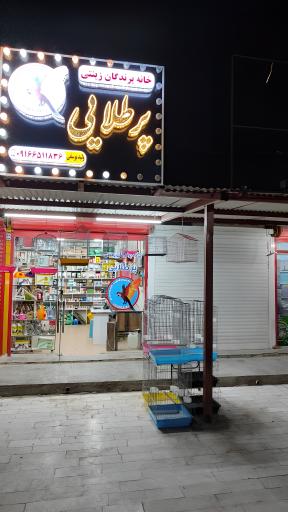 عکس خانه پرندگان زینتی پرطلایی