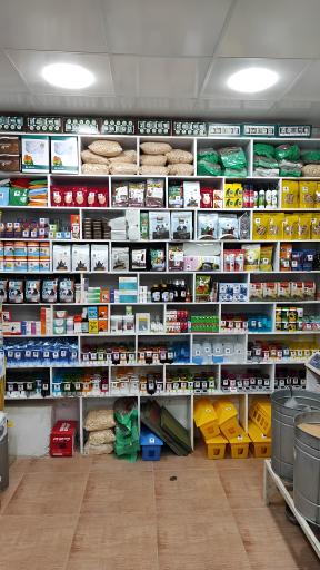 عکس خانه پرندگان زینتی پرطلایی