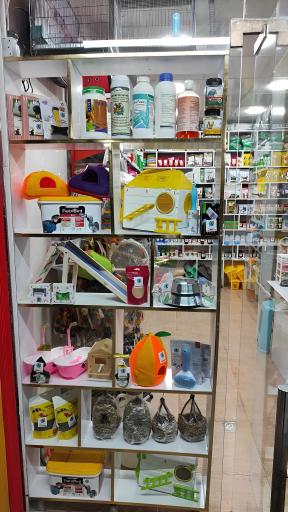 عکس خانه پرندگان زینتی پرطلایی