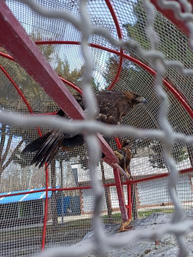 عکس باغ پرندگان فدک 