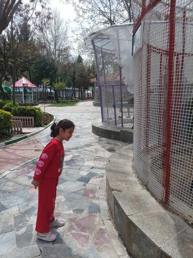 عکس باغ پرندگان فدک 